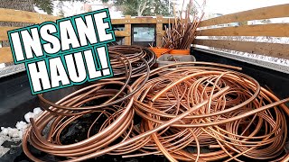 Scrapping MASSIVE Scrap Copper Haul How Much [upl. by Laius]