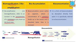 What is BiomagnificationBioaccumulationBioconcentration  అంటే ఏమిటి  La Excellence [upl. by Ramiah]