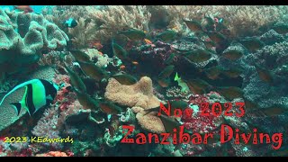 202311 Zanzibar Diving [upl. by Eeliak978]