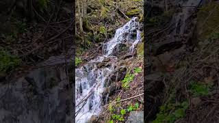 Relaxing Meditation Sleeping music of the Romanian nature  mini waterfall music [upl. by Ecinhoj951]