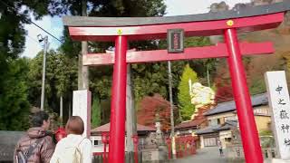 The Altar Shrine in ShimonitaGunma⛩️🎄🌲🌳🎍🍁🍂🪴 [upl. by Elahcar]