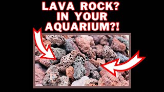 All About Lava Rock In Your Aquarium [upl. by Eirehc]