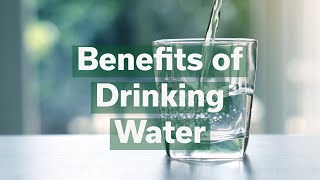 Benefits of Drinking Water [upl. by Pan228]