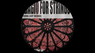 BYØRN  Adagio For Strings Extended VIP Remix [upl. by Noired]