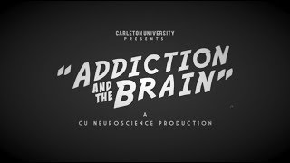 Neuroscience  Addiction and the Brain [upl. by Desiree]