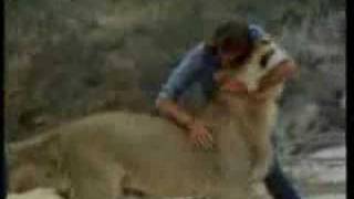 Christian the lion Reunion FULL LENGTH MOVIE London [upl. by Luap]