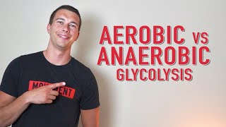 Aerobic vs Anaerobic Glycolysis  What is Lactate [upl. by Htyderem]