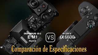 Olympus OMD EM1 Mark III vs Sony A6600 Una Comparación de Especificaciones [upl. by Edals423]