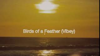 Birds of a Feather Vibey  Official Audio  Sunset Party [upl. by Olihs]