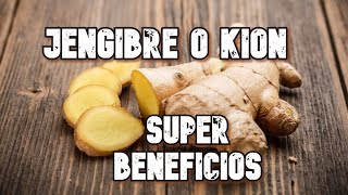 Super beneficios del jengibre o kion  Propiedades medicinales [upl. by Reffinej772]