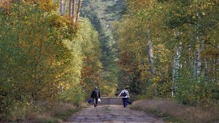 Nadchodzi zimowa pogoda alerty pierwszego stopnia i możliwe opady śniegu [upl. by Hgieliak285]