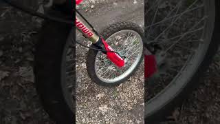 Bridgestone Battlax VS Michelin Anakee Wild  Initial Comparison [upl. by Klein250]