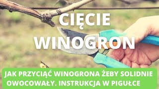 Cięcie winorośli Jak to zrobić [upl. by Neerihs]