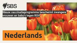 Nieuw vaccinatieprogramma beschermt zwangere vrouwen en babys tegen RSV  SBS Dutch  SBS [upl. by Isla]