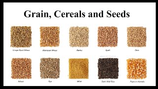 Grain Cereals and Seeds [upl. by Fast934]