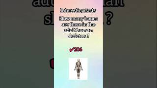 List of 206 Bones in human body [upl. by Inalaehon]