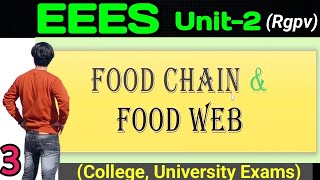 Food chain  food Web eees rgpv unit2 environment EEES unit 2 rgpv  evs [upl. by Ladnar]