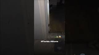 Alligator in kitchen From Hurricane Milton WILD [upl. by Friedlander81]