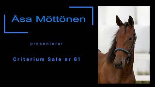 Zerella Criterium Sale 61 [upl. by Enirehtahc806]