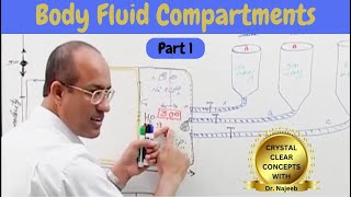 Body Fluid Compartments  IV Fluids  Types amp Uses Part 1🩺 [upl. by Lecia]