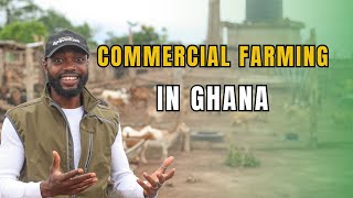 I VISITED ONE OF THE BIGGEST LIVESTOCK INTEGRATED FARMS IN GHANA [upl. by Melisa]