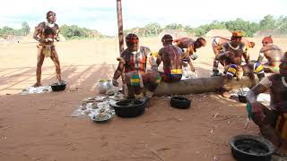 Xingu typical food [upl. by Leunas]