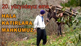 20 yüzyıldayız ama HALA KATIRLARA MAHKUMUZ [upl. by Neirol]