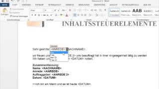 Textbausteine mit Feldern [upl. by Halfdan]