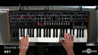 Sequential Prophet 6 6Voice Analog Synthesizer  Gear4music demo [upl. by Landa]