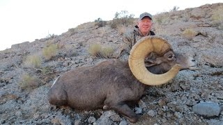 Epic Desert Bighorn Sheep Hunt 182quot Giant [upl. by Ecneitap463]