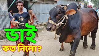 Bhai Koto Nilo Paragram Hozrotpur Gorur Haat 2022  Part 30  Qurbani Cow Price in Bangladesh [upl. by Noam]