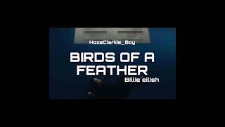 HozaClarkieBoy  Birds Of A Feather Remix [upl. by Sancha]