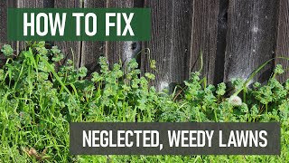 How to Fix Neglected WeedRidden Lawns DIY Lawn Care [upl. by Hewie754]