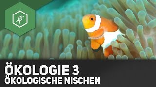 Umweltfaktoren und Ökologische Nischen  Ökologie 3 [upl. by Hadria]