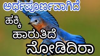 ಹಕ್ಕಿ ಹಾರುತಿದೆ ನೋಡಿದಿರಾ 10ನೇ ತರಗತಿ ಪದ್ಯHakki haarutide nodidira 10th Kannada poem [upl. by Sher]