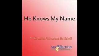 He Knows My Name  Francesca Battistelli Cover [upl. by Neenad]