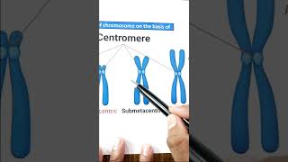 1 मिनिट मे Concept याद 🤩 Principle of inheritance and variation class 12  Types of Chromosome [upl. by Barkley577]