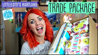 HAMSTER TRADE PACKAGE WITH LITTLELOTTIS HARTLAND  Hamster Dance 🐹 [upl. by Hanson]