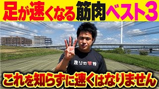 【徹底解説】足が速くなる為に必要な筋肉3選！！トレーニングも紹介します！！ [upl. by Asilem]