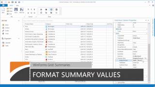 WinForms Grid Introduction to Summaries [upl. by Lennox105]