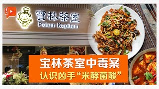 宝林茶室中毒案 食物处理不当 家中也可能出现米酵菌酸 [upl. by Paulette]