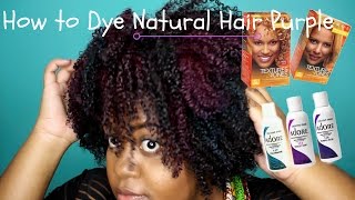 How to Dye quotNatural Hairquot Purple  NO BLEACH  Start to Finish [upl. by Odnavres]