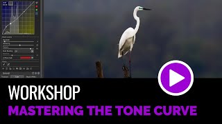 Mastering the Tone Curve in ACDSee [upl. by Anoyet786]