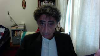 2017 Gabor Maté Trauma Connection and Addiction [upl. by Aterg931]