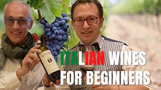 Italian wines for beginners  A beginner guide to Italian wines [upl. by Einwat]