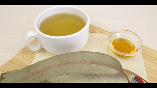 Eucalyptus Tea Superb 5 Benefits of This Beverage [upl. by Laraine]