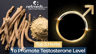 Top 5 Herbs To Boost Testosterone Shorts [upl. by Salomie]