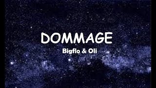 Bigflo amp Oli  Dommage Lyrics [upl. by Eachelle916]