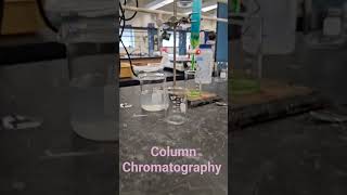 Column Chromatography in Orgo Chem Lab [upl. by Acimehs186]