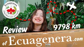 Unboxing Import Plants from Ecuagenera  Honest Review [upl. by Ayahc]